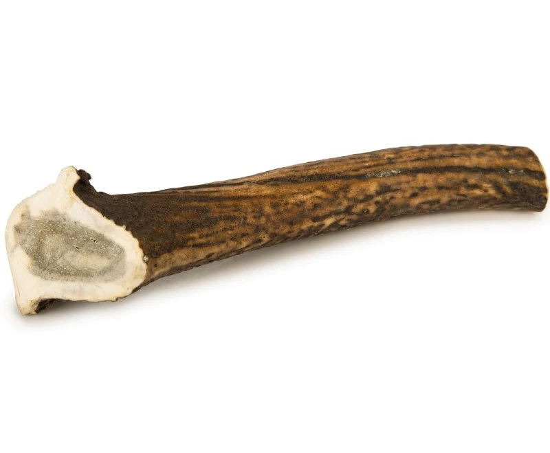 Beeztees Hertengewei Large 1 Beeztees Hertengewei Large