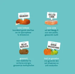 Edgard & Cooper Hondenvoer Puppy Zalm En Kalkoen 2,5 Kg -Trixi Huisdier Winkel 5407007149315 4