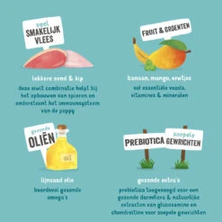 Nieuwkomers -Trixi Huisdier Winkel 5425039485324 4