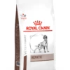Royal Canin Hondenvoer Hepatic 6 Kg