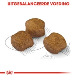 Nieuwkomers -Trixi Huisdier Winkel royal canin dental care medium extra zorg gebit volwassen middelgrote honden hero kibble