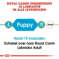 Royal Canin Hondenvoer Labrador Retriever Puppy 12 Kg -Trixi Huisdier Winkel royal canin labrador retriever junior pup hond labrador retriever hero image 9