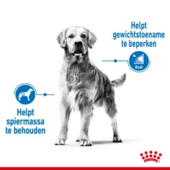 Royal Canin Hondenvoer Light Weight Care Maxi 3 Kg -Trixi Huisdier Winkel royal canin maxi light weight care volwassen hond grote hondenrassen hero image 8