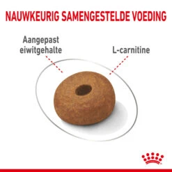 Nieuwkomers -Trixi Huisdier Winkel royal canin maxi light weight care volwassen hond grote hondenrassen hero kibble