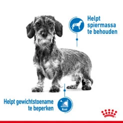 Royal Canin Hondenvoer Light Weight Care Mini 8 Kg -Trixi Huisdier Winkel royal canin mini light weight care volwassen hond gezond gewicht kleine hondenrassen hero image 8