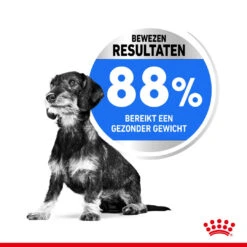 Royal Canin Hondenvoer Light Weight Care Mini 8 Kg -Trixi Huisdier Winkel royal canin mini light weight care volwassen hond gezond gewicht kleine hondenrassen hero usp